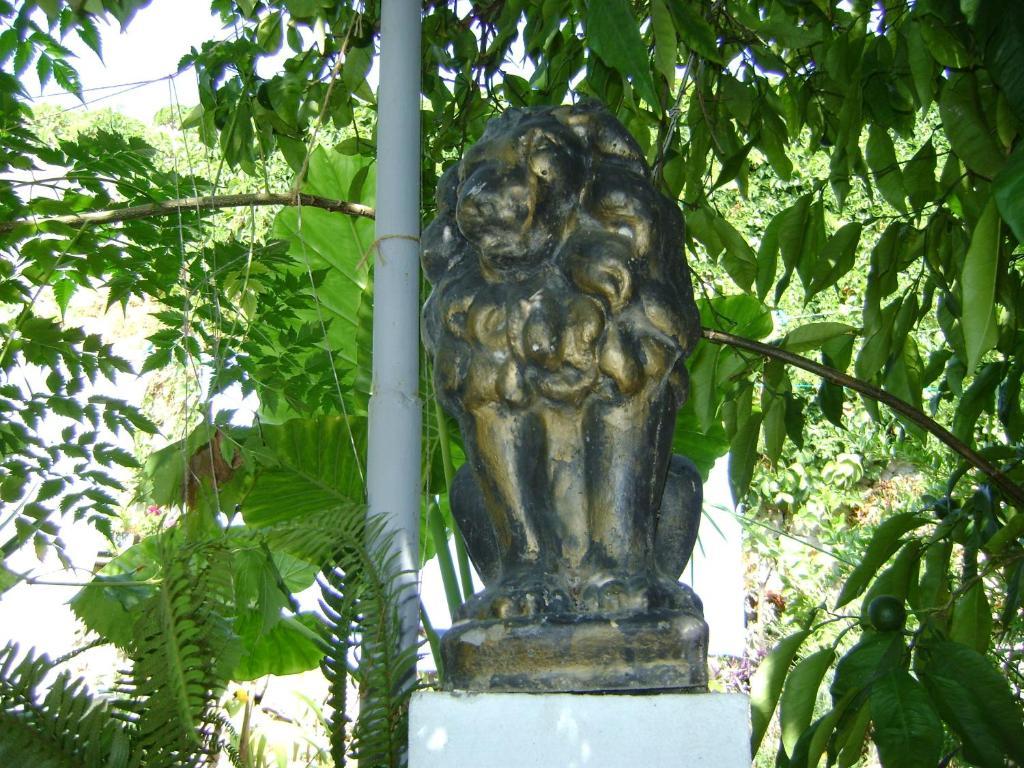 Guest House Marijana دوبروفينك المظهر الخارجي الصورة
