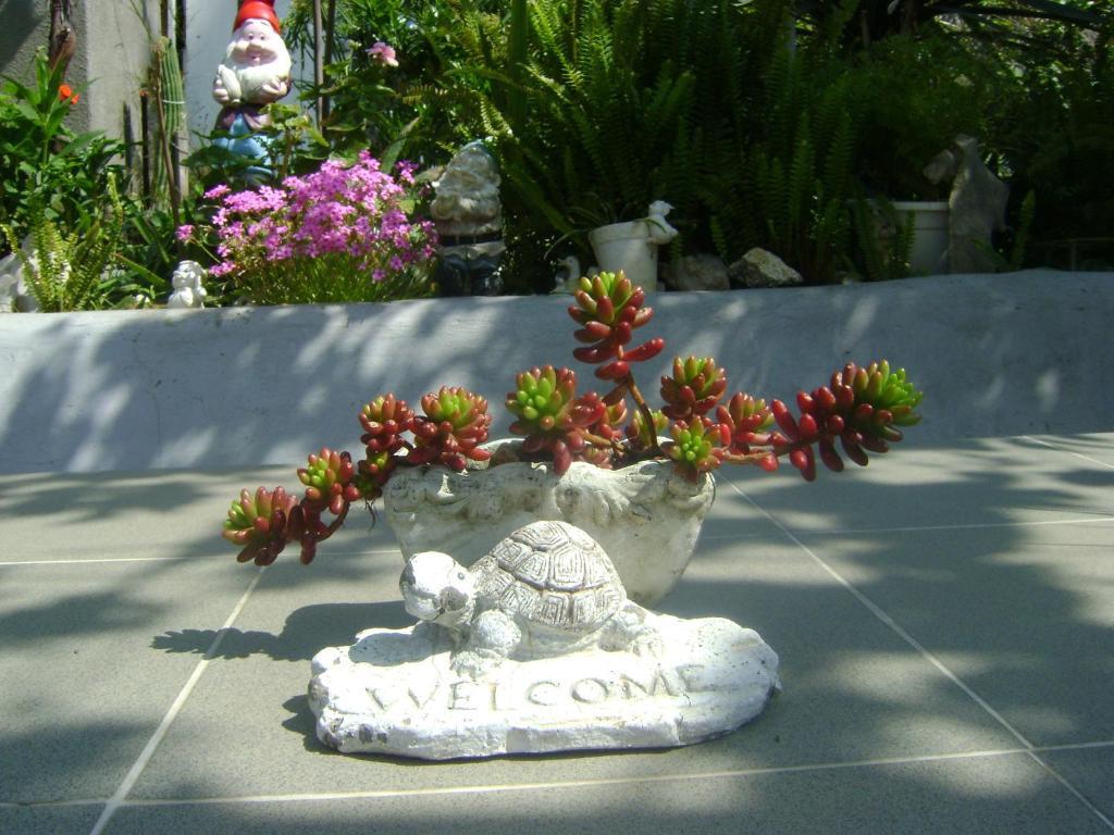 Guest House Marijana دوبروفينك المظهر الخارجي الصورة