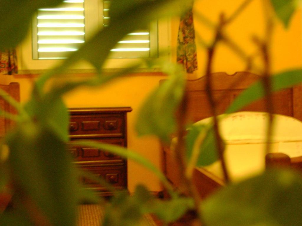 Guest House Marijana دوبروفينك الغرفة الصورة